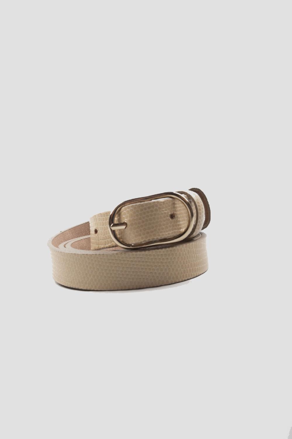 French Trotters Masscob Belt