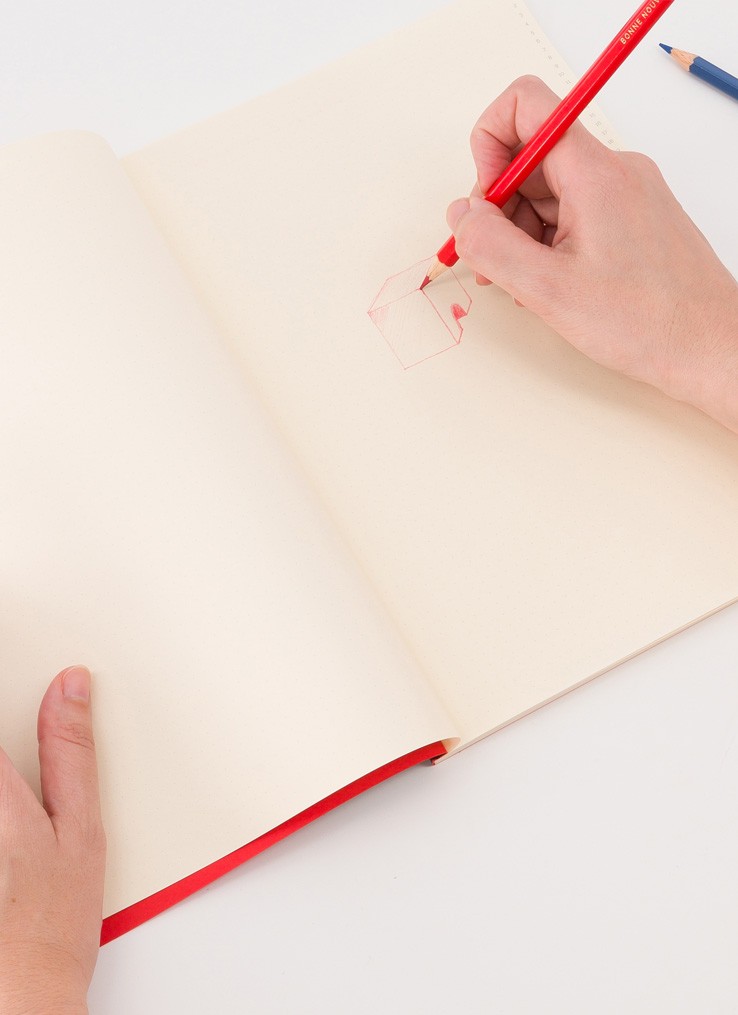 French Trotters Mbn Carnets B5 80 Pages