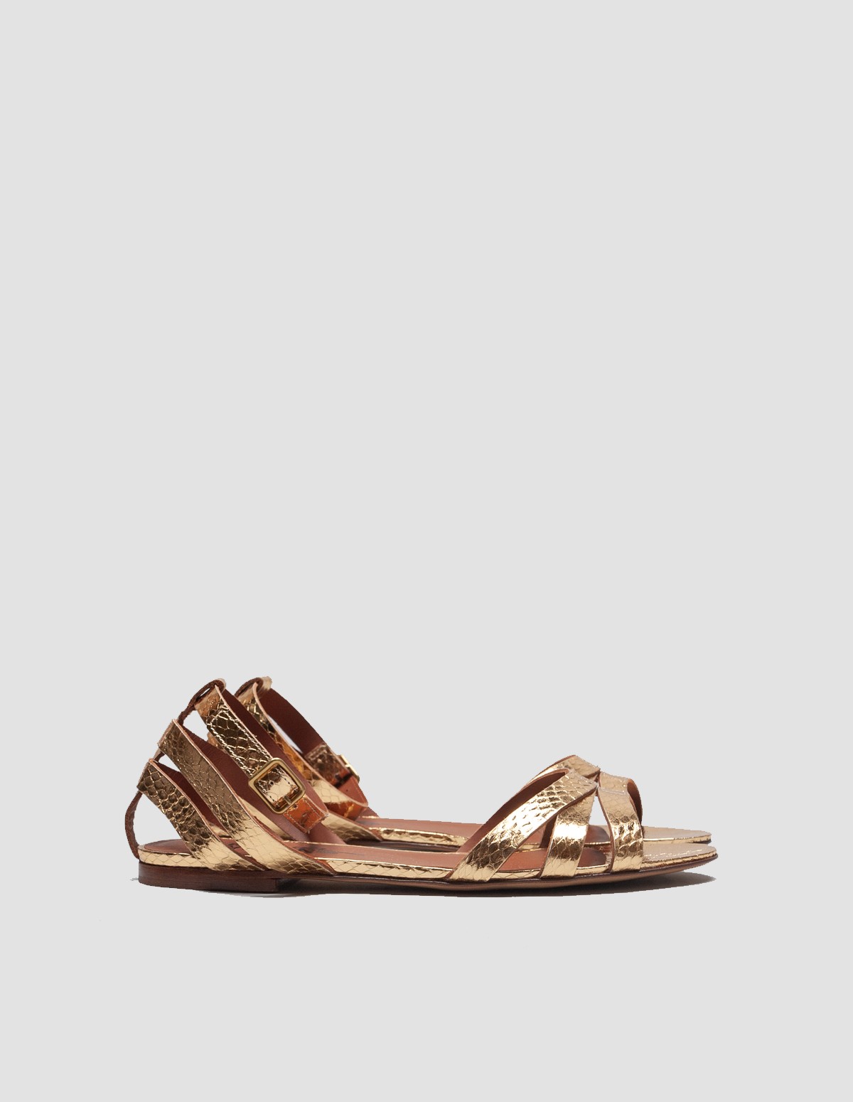 french trotters Mv Camargue