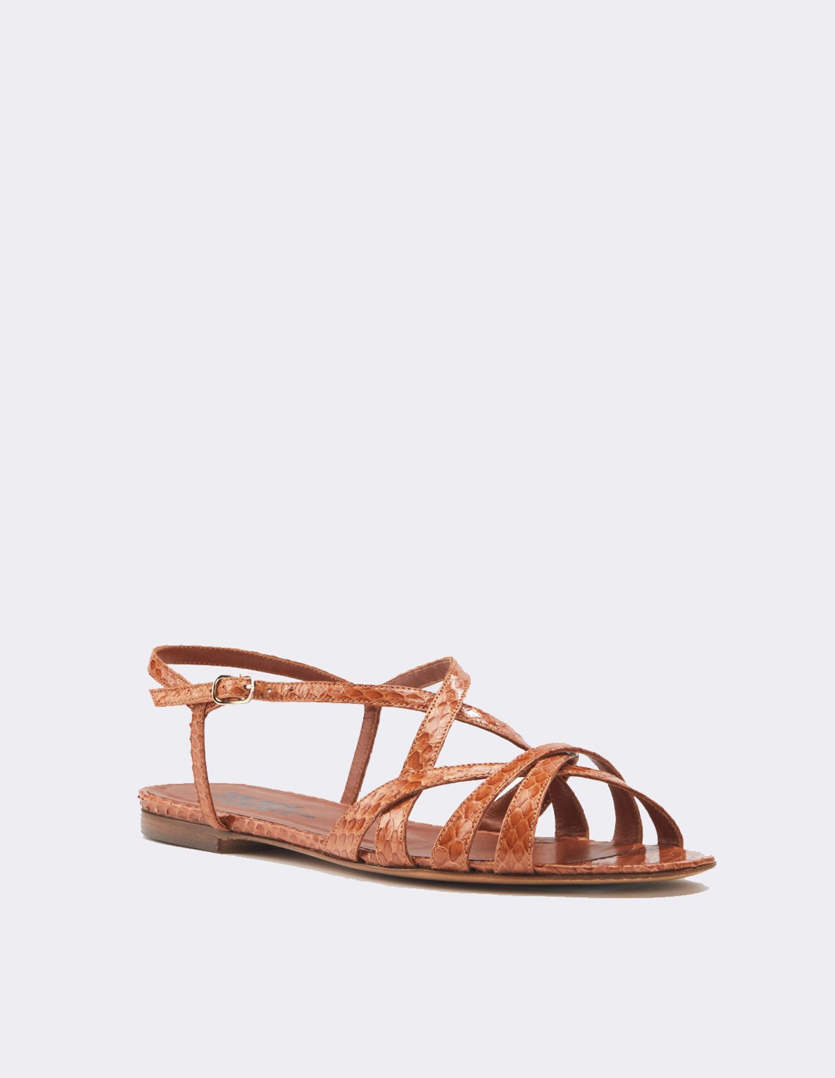 French Trotters Mv Eelke Ss21