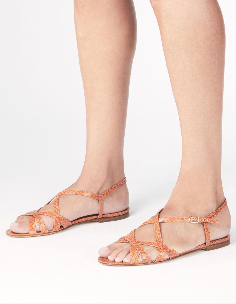 French Trotters Mv Eelke Ss21