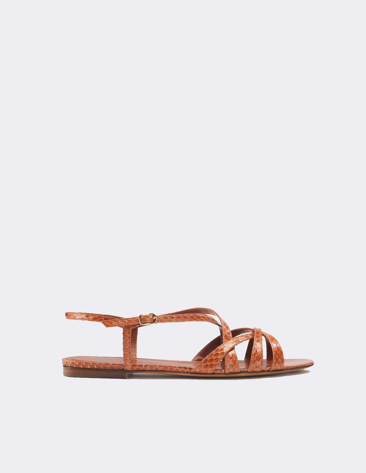 french trotters Mv Eelke Ss21