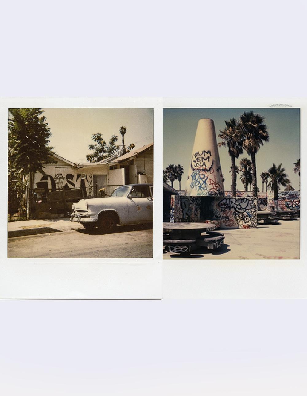 French Trotters The Polaroids