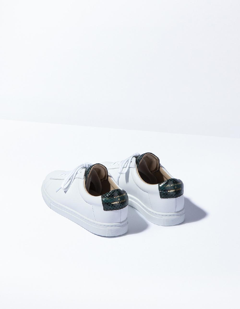 French Trotters Zespa Zsp4