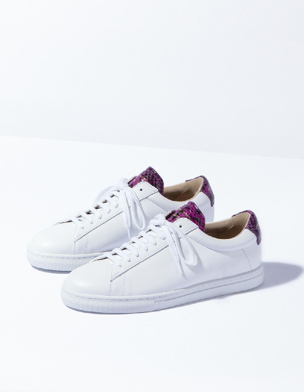 french trotters Zespa Zsp4