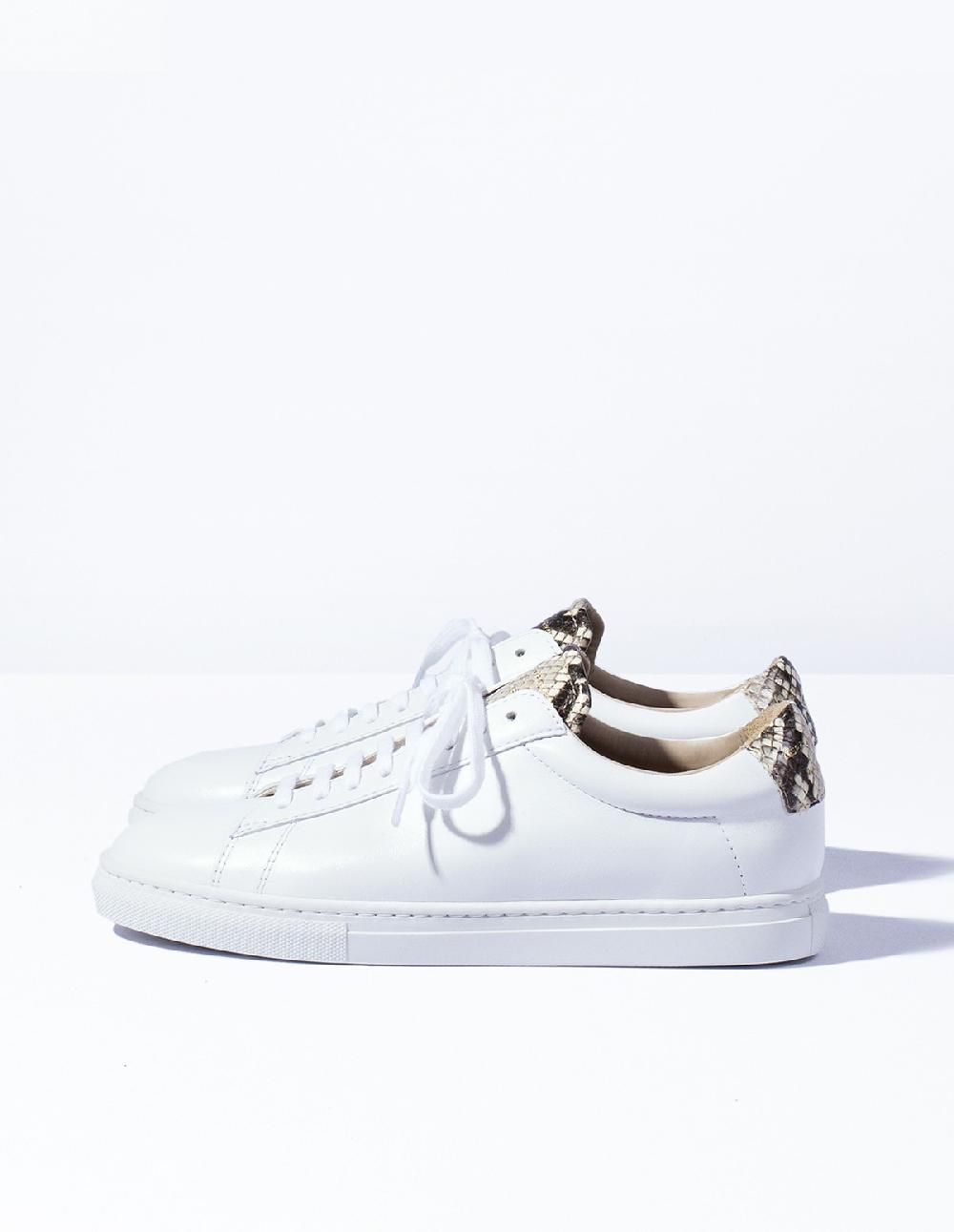 French Trotters Zespa Zsp4