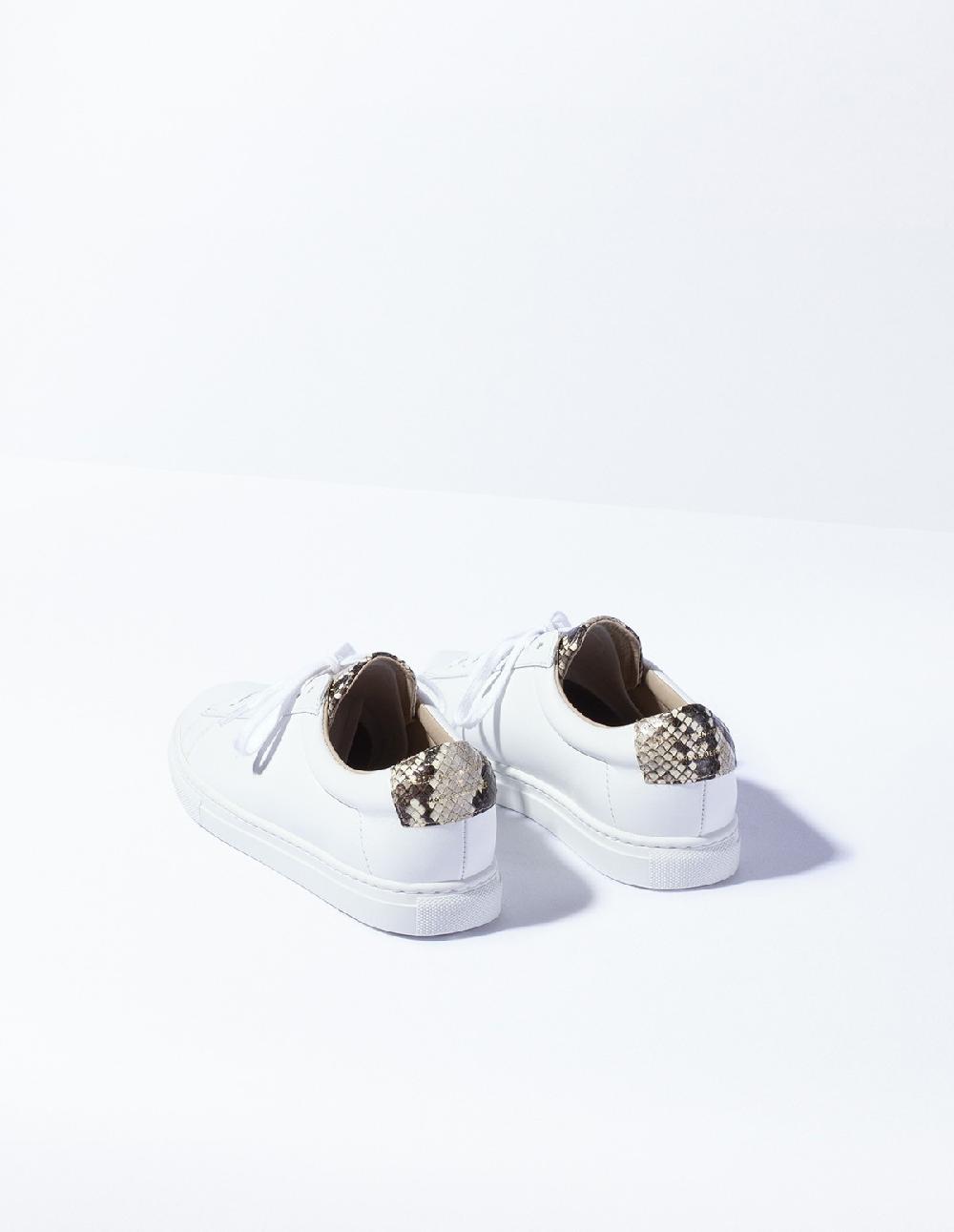 French Trotters Zespa Zsp4