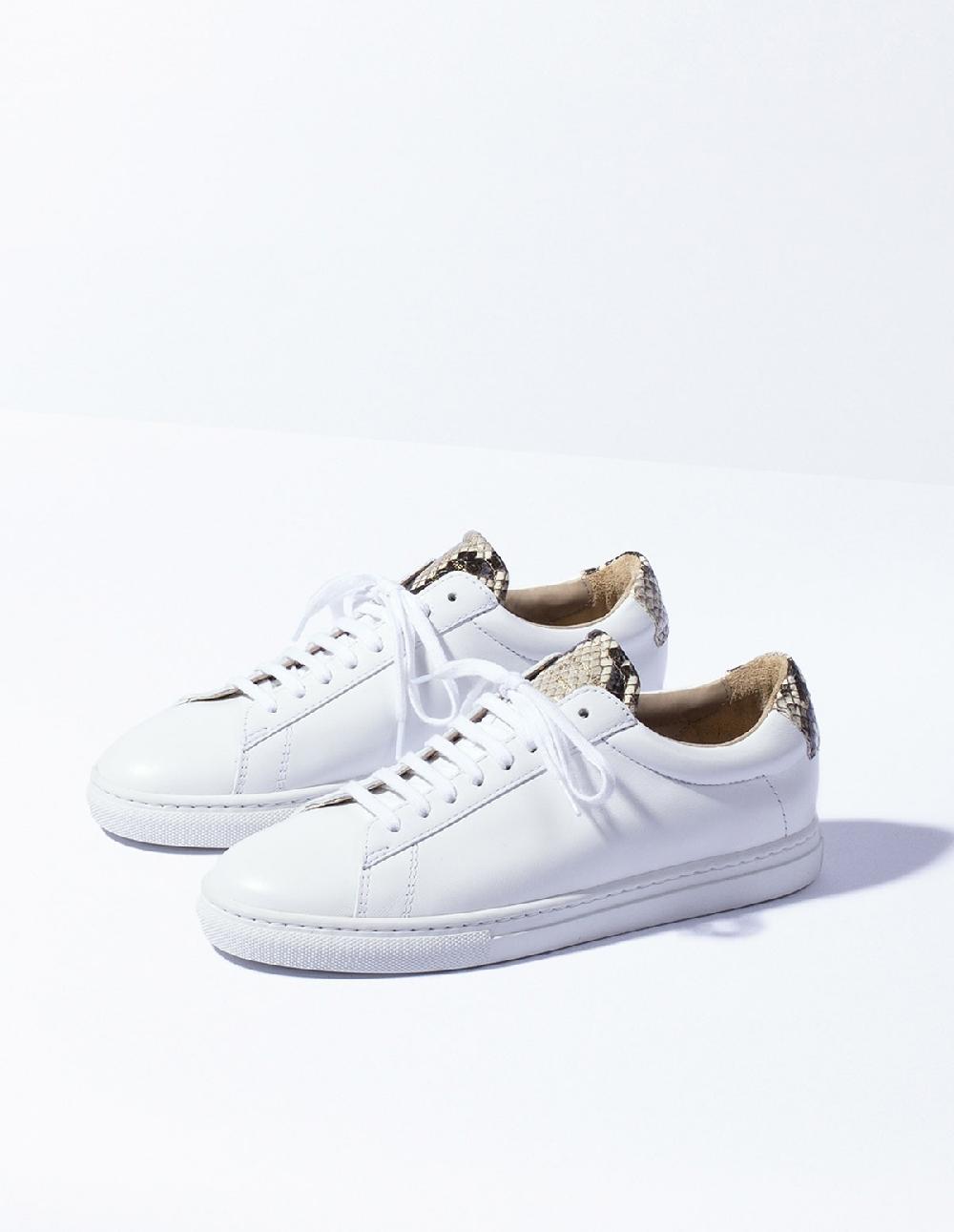 french trotters Zespa Zsp4