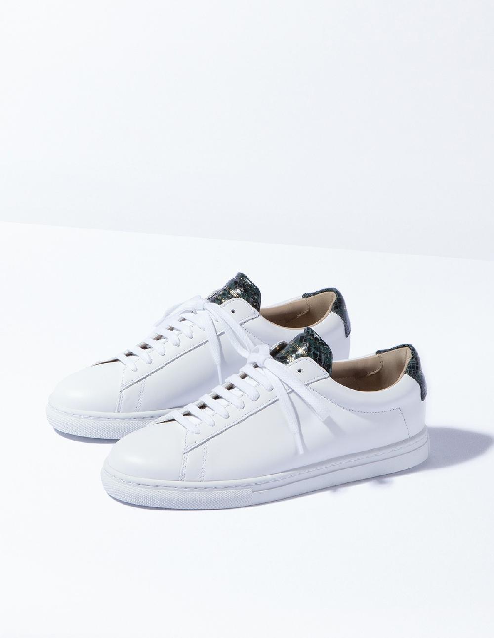 french trotters Zespa Zsp4