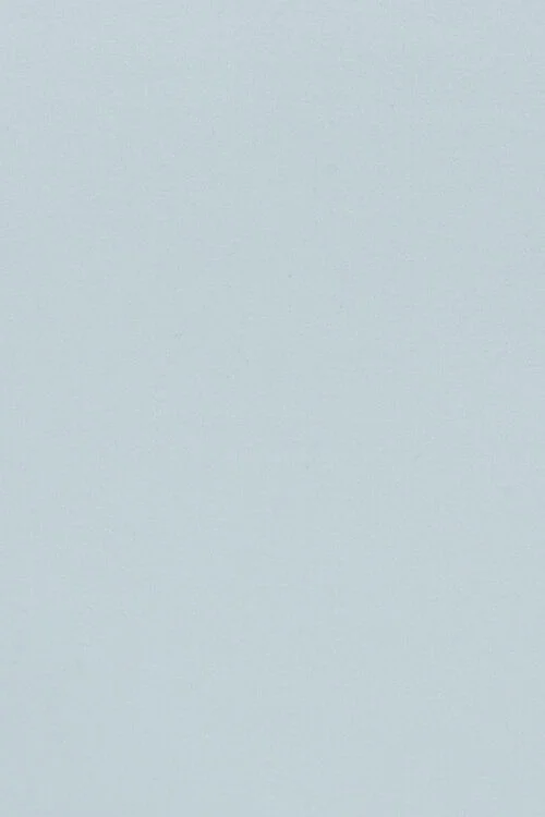 Garage Cami Sleek à Col En V