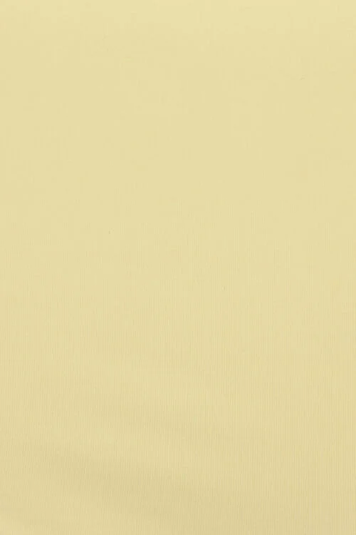 Garage Cheeky Side Tie Bikini Bottom