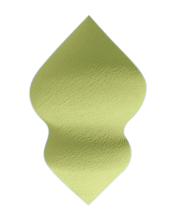 garancia L'ÉPONGE MAGIQUE VERTE - Éponge magique applicateur de teint