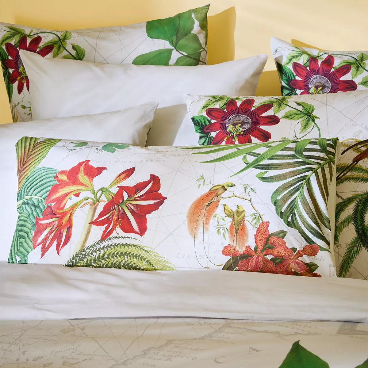 Garnier Thiebaut Lot De 2 Taies Percale De Coton 80 Fils/cm² Coloris Vert Paradis Escales Paradis