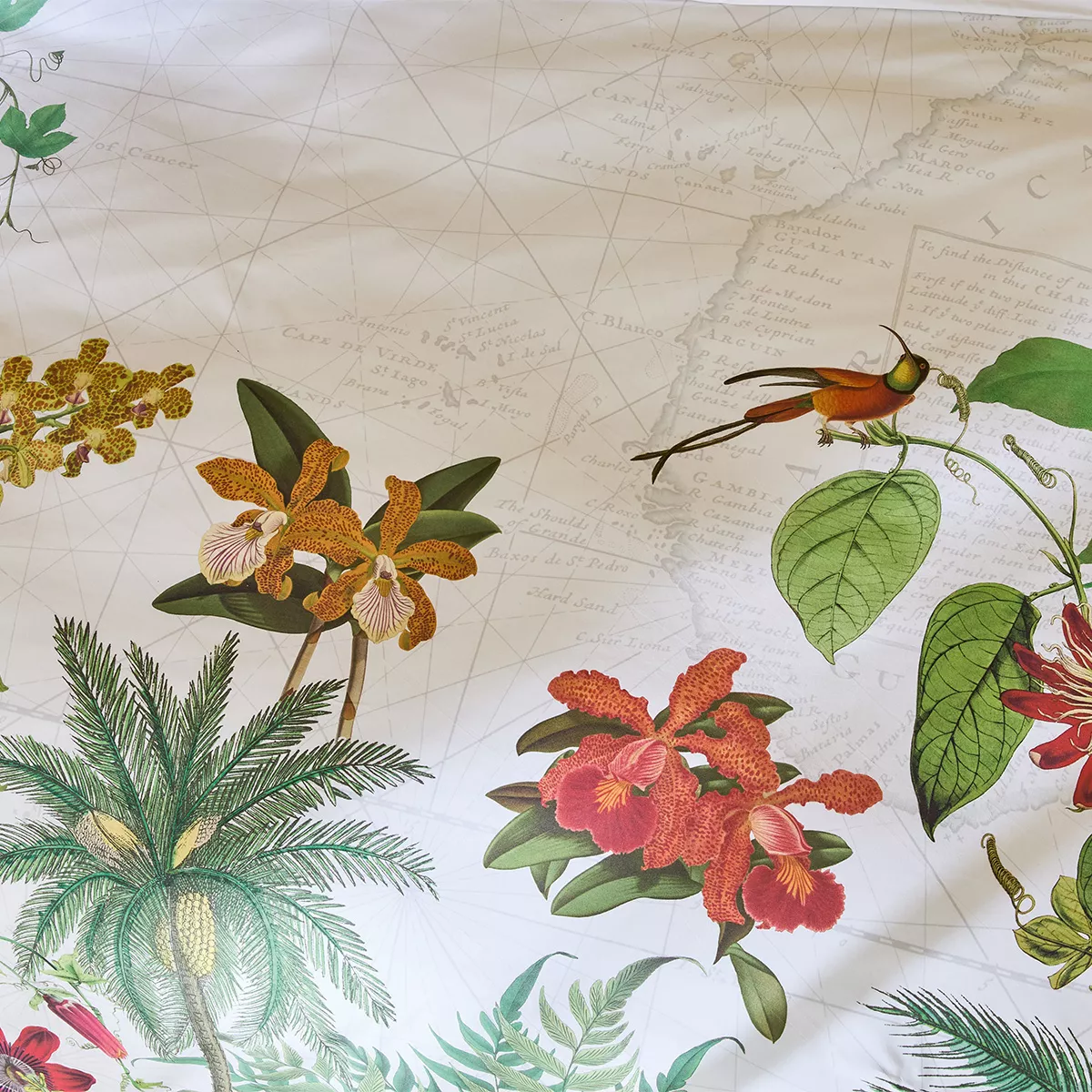 Garnier Thiebaut Parure De Lit Percale De Coton 80 Fils/cm² Vert Paradis Modèle Escales Paradis
