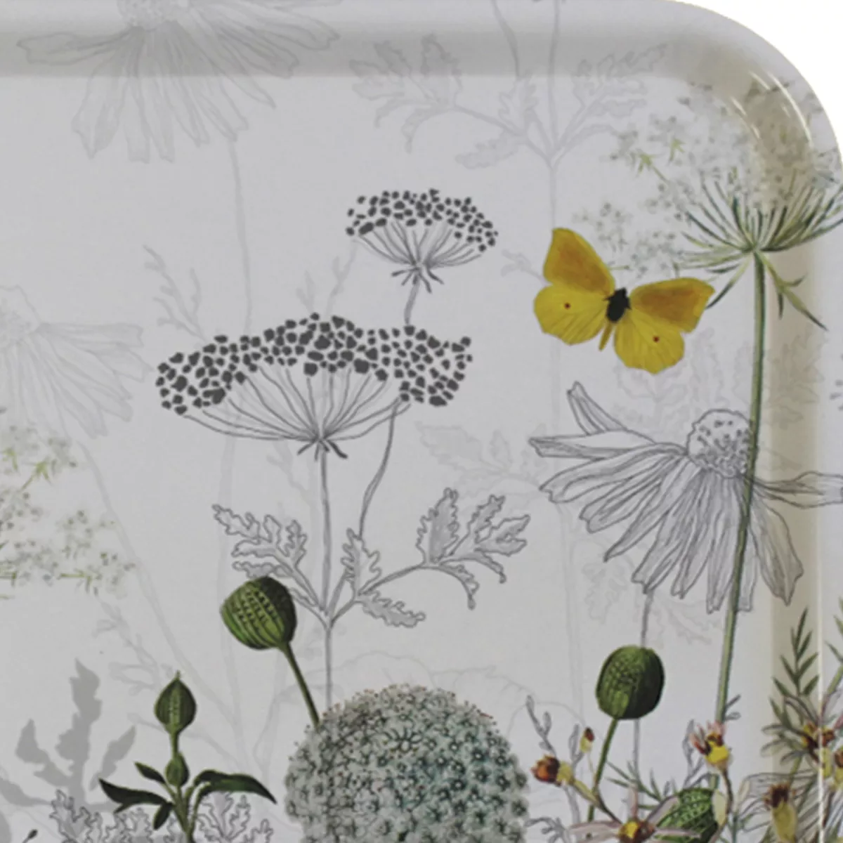 Garnier Thiebaut Plateau Bois Coloris Multicolore Blanc Escapades Magiques Blanc