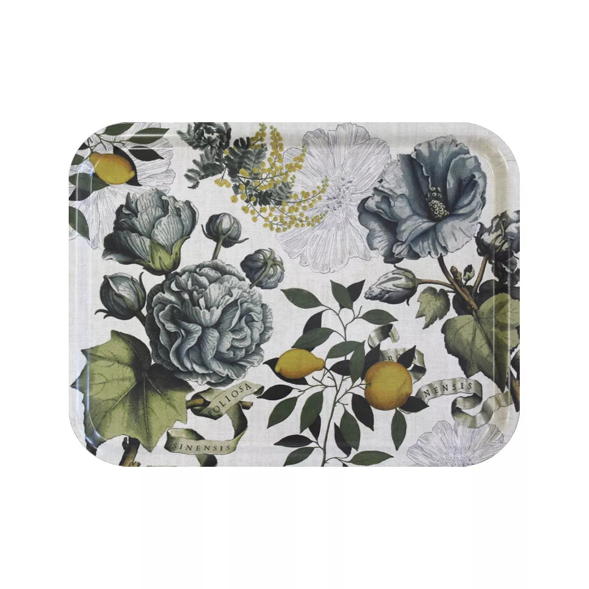 Garnier Thiebaut Plateau Bois Coloris Multicolore Naturel Giardino Naturel
