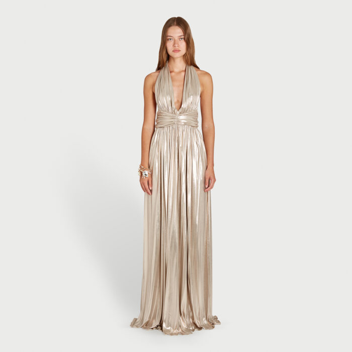 Giambattista Valli Robe Longue Dorée Dos Nu