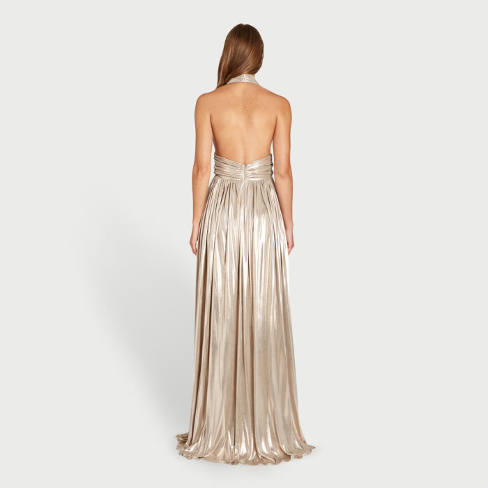 Giambattista Valli Robe Longue Dorée Dos Nu