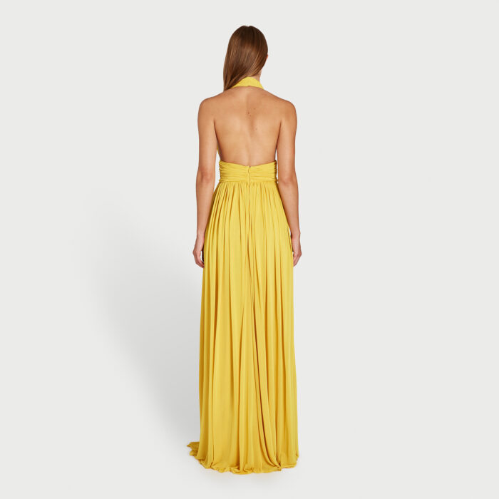 Giambattista Valli Robe Longue Jaune Dos Nu
