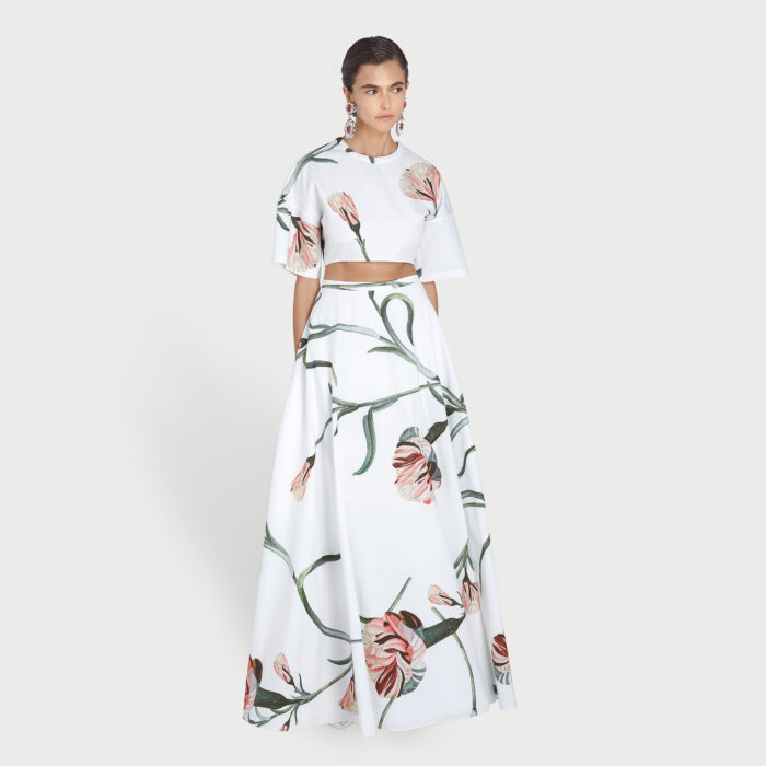 Giambattista Valli Jupe Longue Macro Carnation En Popeline