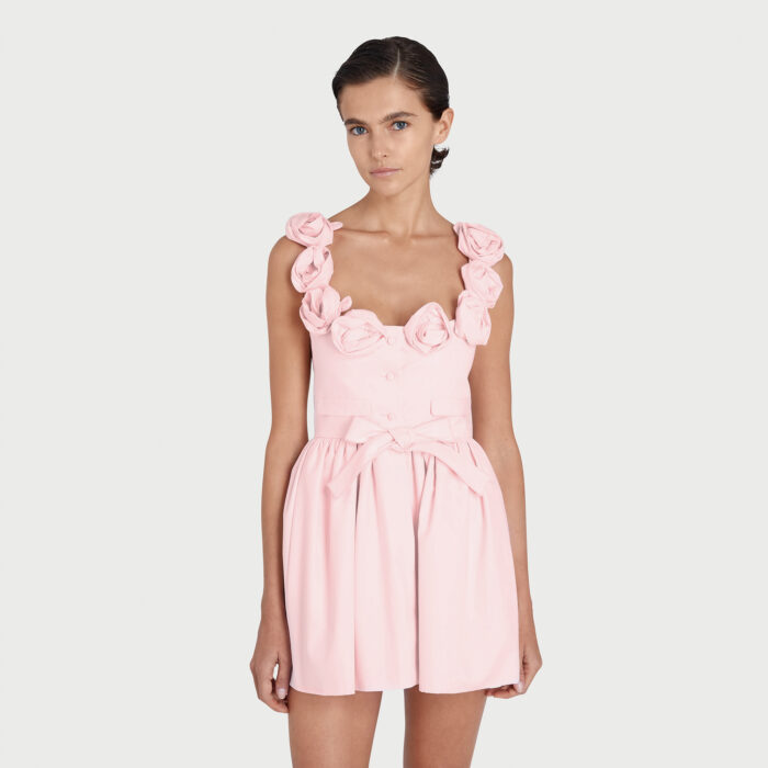 Giambattista Valli Robe Courte Rose Avec Noeud Et Roses