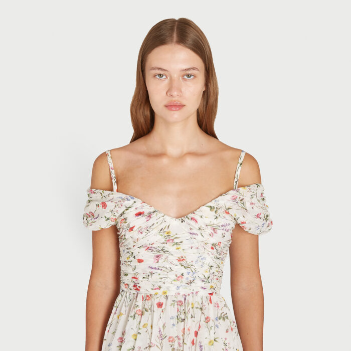 Giambattista Valli Robe Longuette Impressionist En Soie