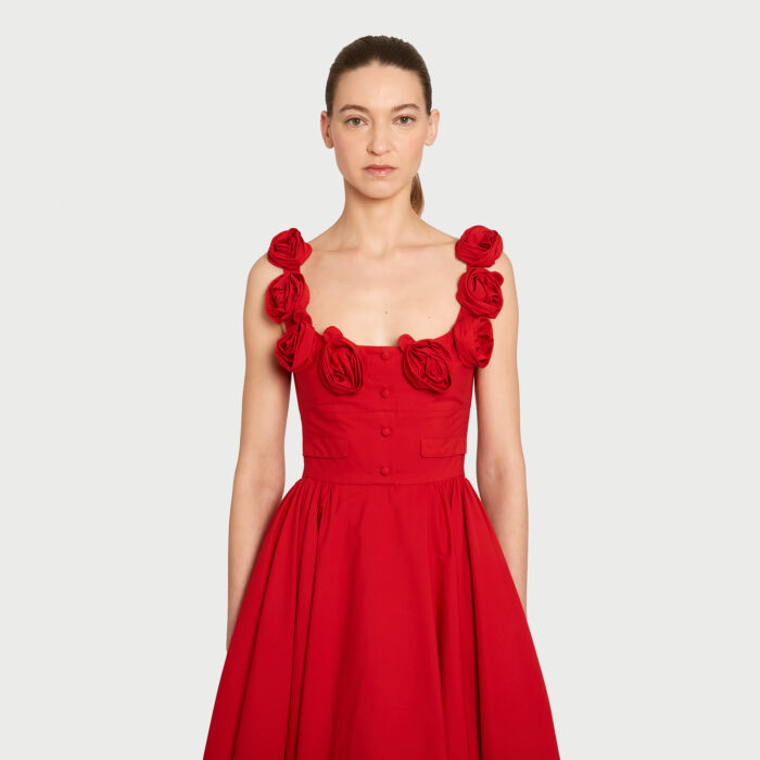 Giambattista Valli Robe Maxi Amarena En Popeline Avec Roses
