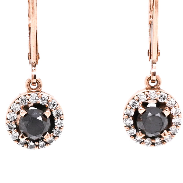 graziella 14KT Rose Gold 1.21CTW Round Brilliant Black & White Diamond Lever Back Earrings