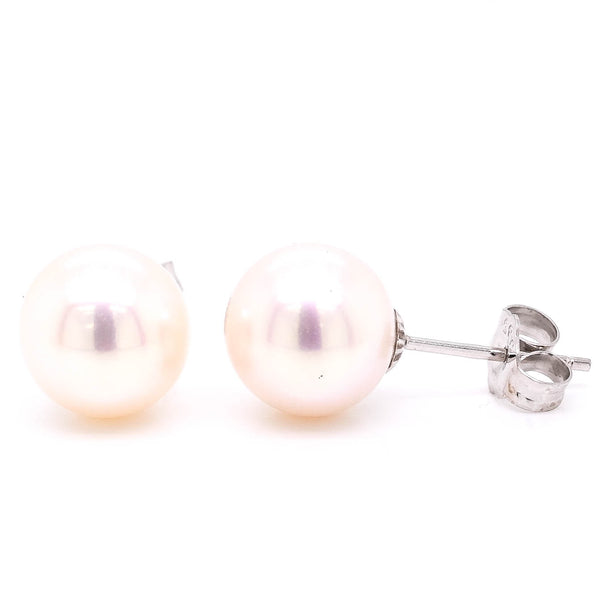 graziella 14KT White Gold 9.5-10mm Freshwater Pearl Stud Earrings