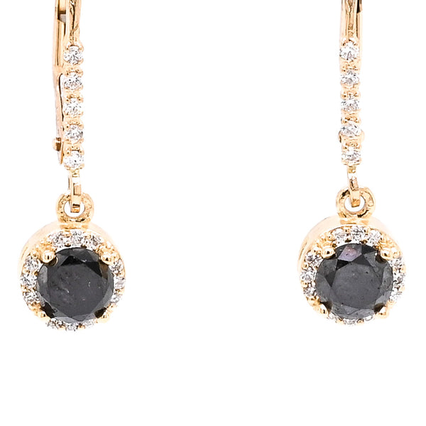 graziella 14KT Yellow Gold 1.10CTW Round Brilliant Black & White Diamond Lever Back Earrings