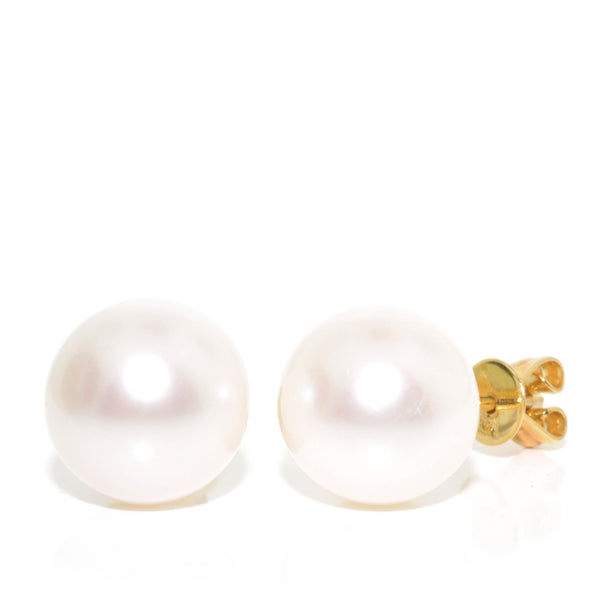 graziella 14KT Yellow Gold 8.5-9mm Freshwater Pearl Stud Earrings