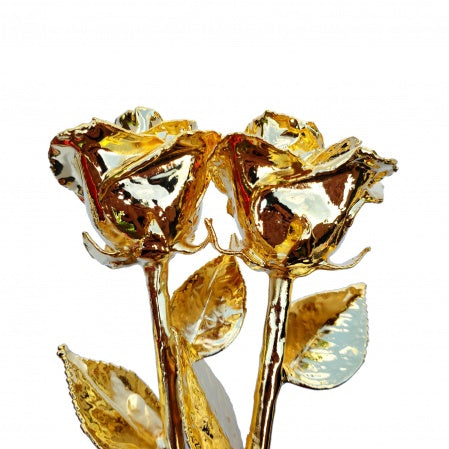 graziella 24KT Yellow Gold Plated Rose