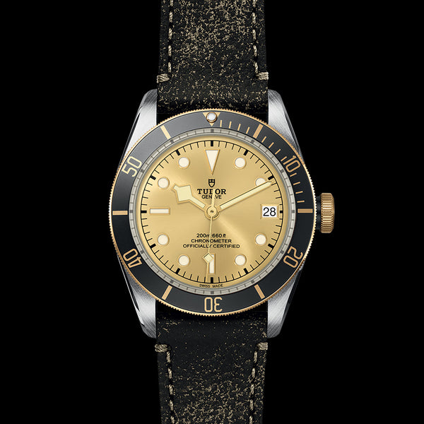 Graziella Tudor Black Bay S&G Watch - M79733N-0003 - 41mm Steel Case