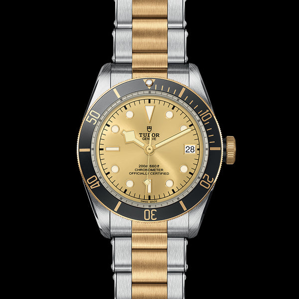 Graziella Tudor Black Bay S&G Watch - M79733N-0004 - 41mm Steel Case