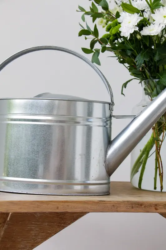 Guillouard ARROSOIR 10L - ACIER GALVANISÉ - POMME GALVA GRILLE LAITON