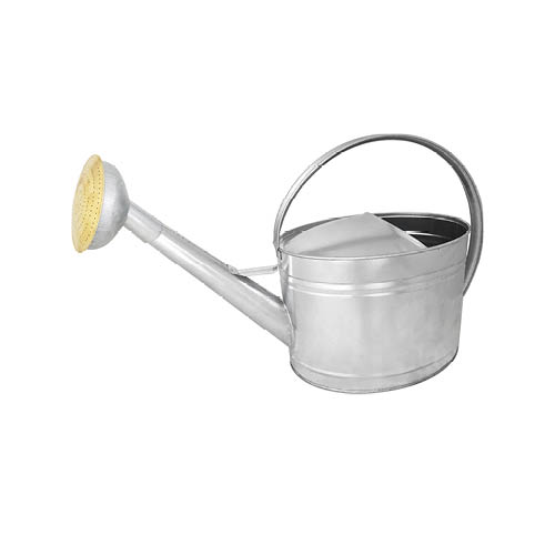 guillouard ARROSOIR 10L - ACIER GALVANISÉ - POMME GALVA GRILLE LAITON