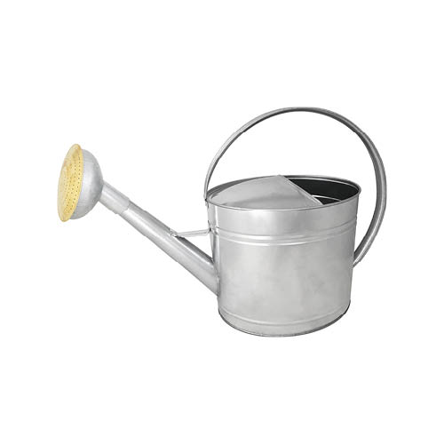 guillouard ARROSOIR 13L ACIER GALVA - POMME GALVA GRILLE LAITON