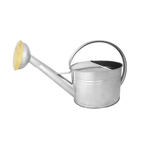 guillouard ARROSOIR 6L ACIER GALVA - POMME GALVA GRILLE LAITON