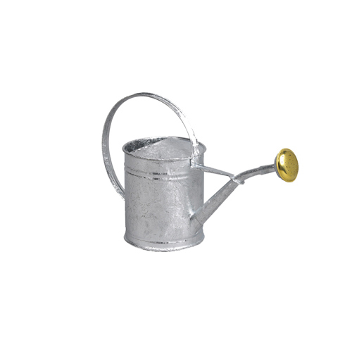 Guillouard Arrosoir Galvanisé à Chaud De 10L - Pomme Galva