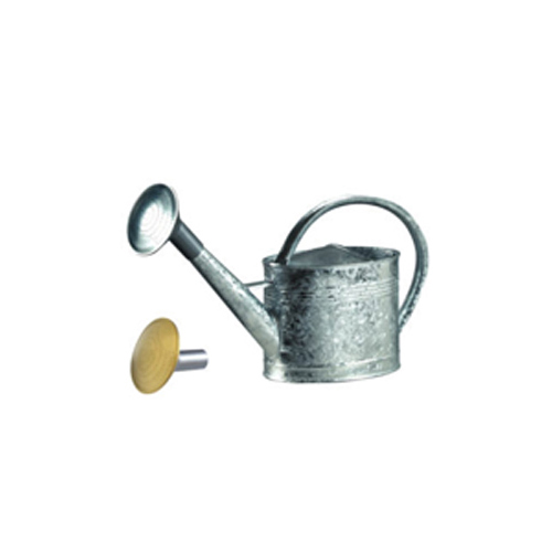 Guillouard Arrosoir Galvanisé à Chaud De 10L - Pomme Galva