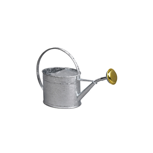 Guillouard Arrosoir Galvanisé à Chaud De 10L - Pomme Galva