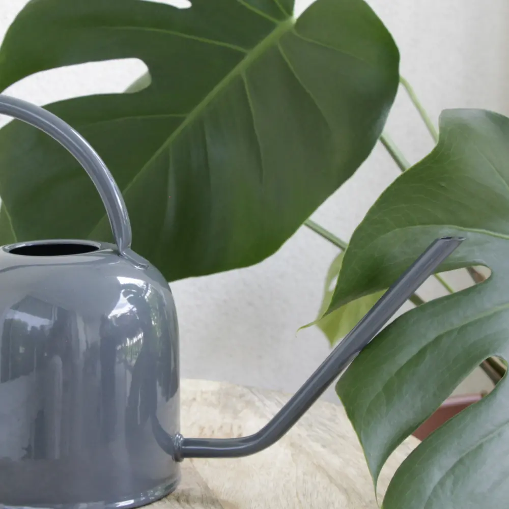 Guillouard Arrosoir Rond 1.5L - Acier - Gris Anthracite - Goulot Fin