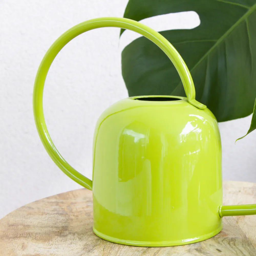 Guillouard Arrosoir Rond 1.5L - Acier - Vert - Goulot Fin
