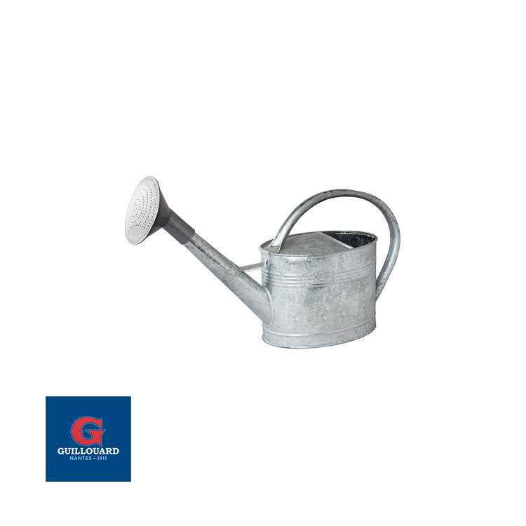 Guillouard Joli Arrosoir Galvanisé à Chaud De 6L - Pomme Plastique
