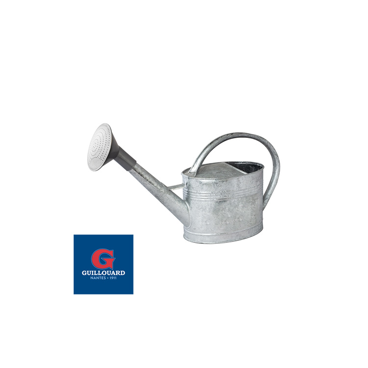 guillouard Joli arrosoir galvanisé à chaud de 6L - Pomme plastique