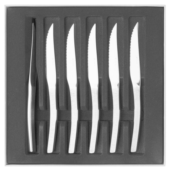 guy degrenne ASTREE CISELE MIROIR Coffret 6 couteaux à steak