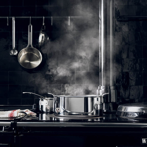 Guy Degrenne EXPERT Cocotte Ovale 24 Cm Avec Couvercle