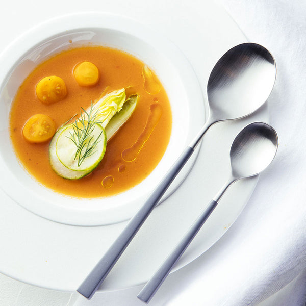 Guy Degrenne FUSE COLOR GRIS Coffret 24 Couverts