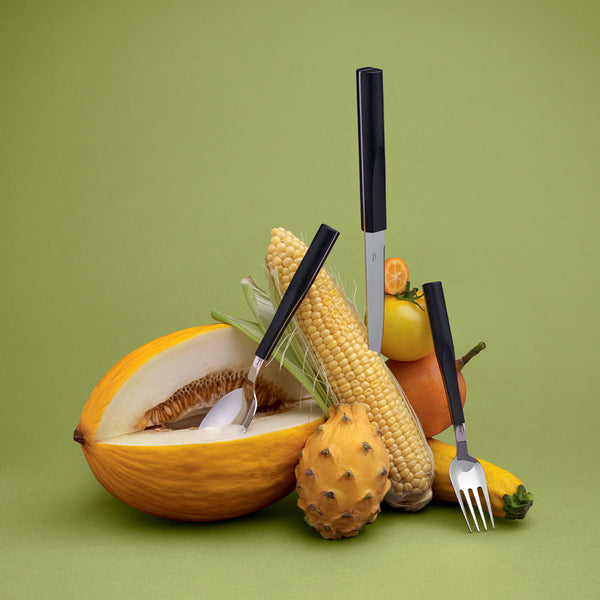 Guy Degrenne L'E STARCK TRUFFE NOIRE Coffret 24 Pièces