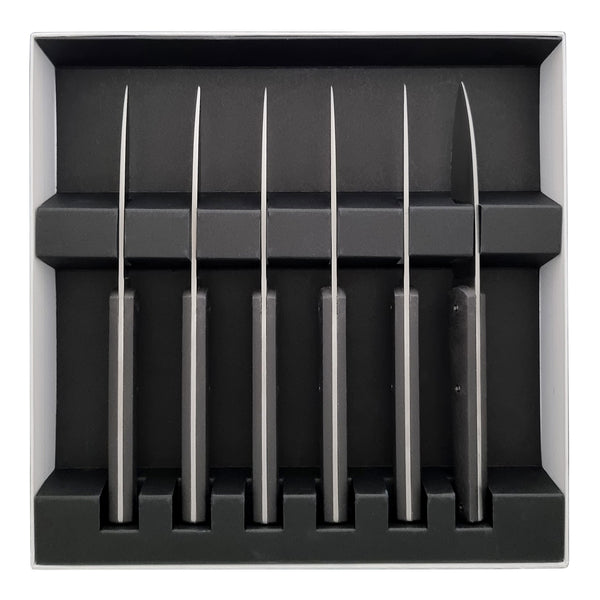 Guy Degrenne MIRAGE MIROIR ANTHRACITE Coffret 6 Couteaux à Steak